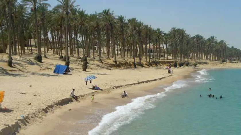 شاطئ العريش